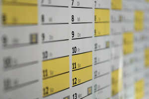 Calendar 1990453 1925